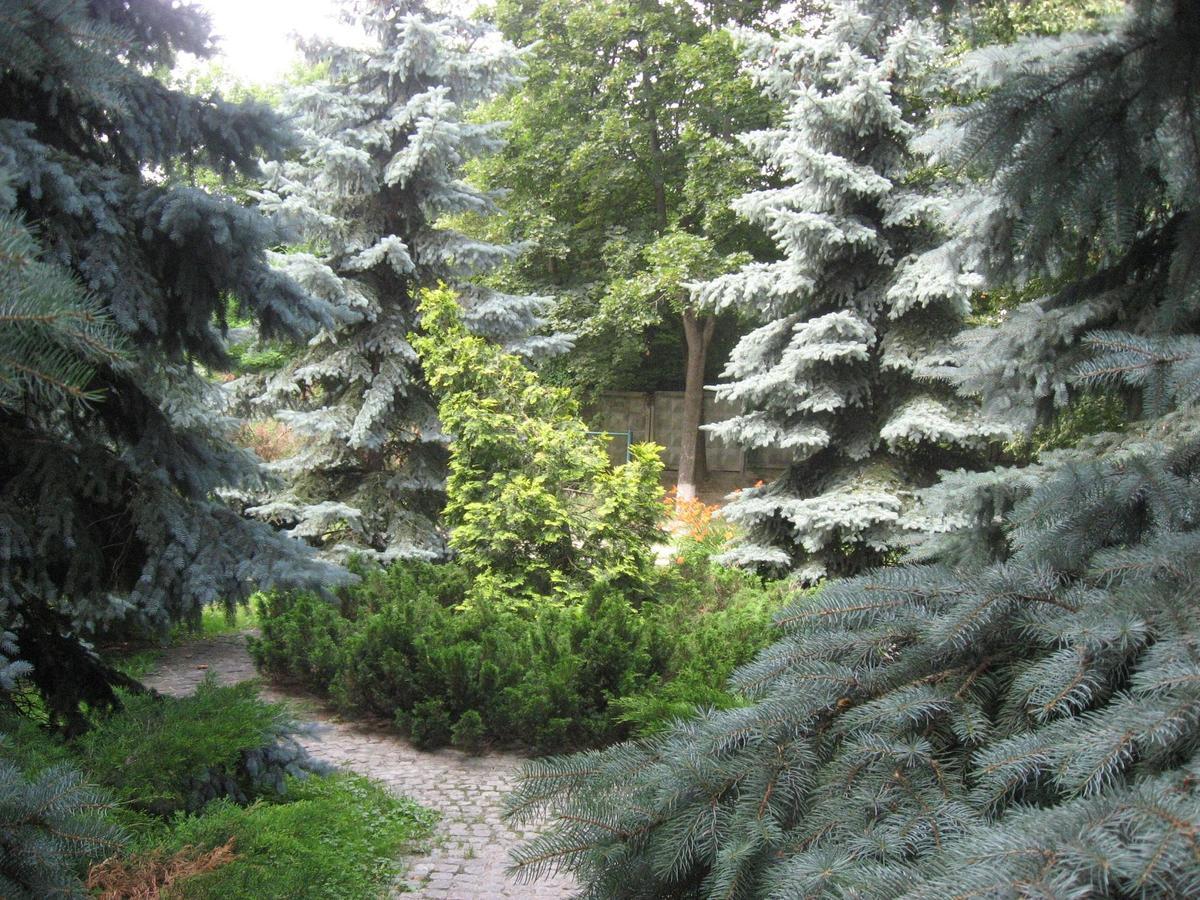 Great View Apartaments Near Lavra Kiev Exterior foto